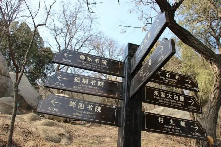 成都廣告香蕉视频网站下载標識牌廣告製造的材料